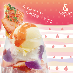 & Yogurt アンドヨーグルト 表参道本店の写真