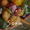 お野菜ダイニングバー Sora ソラ Little Setouchi
