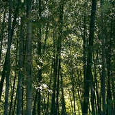 はじまりの島 海神人 アマン の食卓 淡路島海賊料理 宴 うたげの雰囲気3