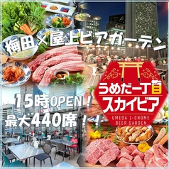 うめだ一丁目スカイビアの写真