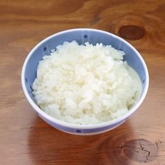 ご飯