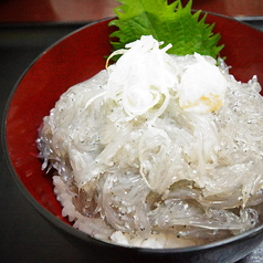 朝取れどっさり生しらす丼