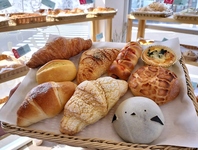 毎日焼きたてパンを20～30種類ラインナップ！