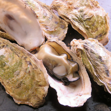 讃岐網元 あんのおすすめ料理1