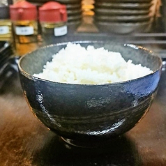 ごはん 大