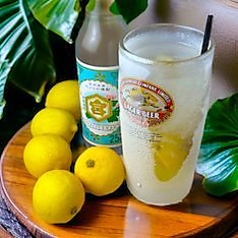 ≪まずは≫BIGレモンサワー