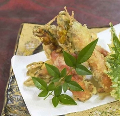 熊本名物!真シャクの天麩羅