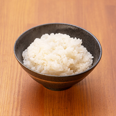 ごはん小
