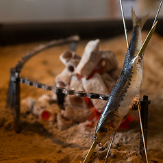 トロ鰯　原始焼き