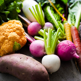 海老名や綾瀬、厚木でこだわりをもって野菜作りをされている農家さん達の野菜が店頭でもお買い求めいただけます。安心安全で美味しい野菜をぜひご賞味ください。