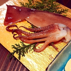 スルメイカの一夜干し(半身)