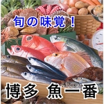魚一番の自慢の鮮魚を使った豪華刺し盛り!!なんとヒラメの活造りがなんと1980円!!
