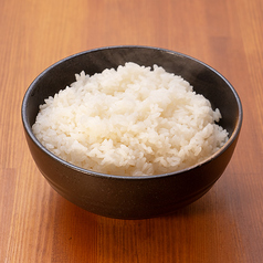 ごはん大