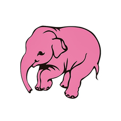 デリリウム・レッド (フルーツビール) 330ml 8.5%　