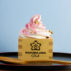 SAKURAJIMA HUB サクラジマ ハブの写真