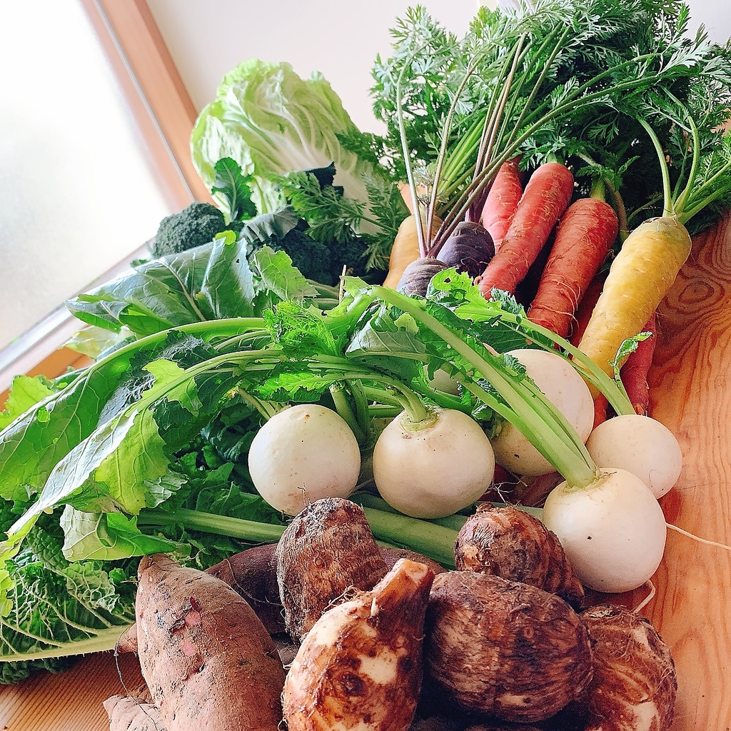 無肥料、無農薬の自然派農法で育てた美味しい野菜あります