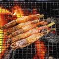 料理メニュー写真 赤海老の串焼(5尾)
