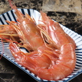 料理メニュー写真&nbsp;【海鮮】ジャンボ焼きエビ