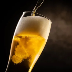 肉と飯 あじてのコース写真