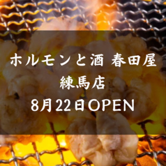 ホルモンと酒 春田屋の写真