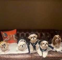 アンナンブルーizumi168の雰囲気1