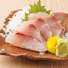 活鯛