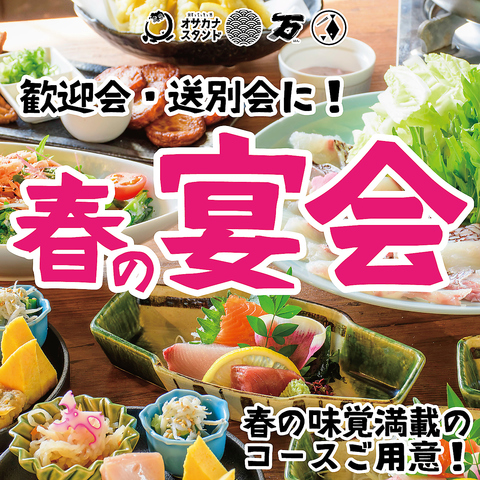 落ち着いた雰囲気のゆったり店内で美味しいオサカナ補給