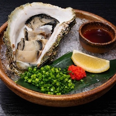 平戸田平仕入れ 岩ガキ (夏季限定)
