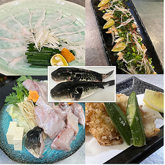 【歓迎会受付中！】豊洲直送鮮魚と創作料理 半個室 居酒屋　珊瑚礁 蒲田店のコース写真