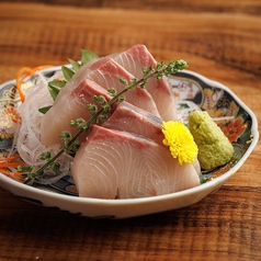 鰤刺し