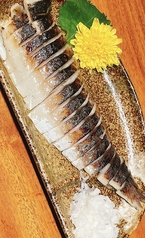 炙り〆鯖