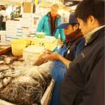 毎朝豊洲にて、仕入れ部長がその日の鮮魚を徹底的に選び抜きます！