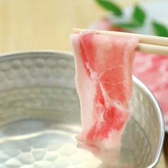 和ダイニング 白 tsukumoのコース写真