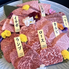 豪華盛り合わせ