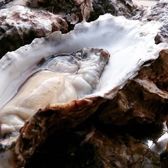 居酒屋ダイニング　サクラマチ　刈谷店の写真2