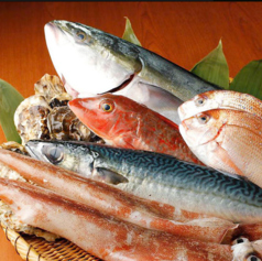 豊洲直送！新鮮な旬のお魚をご堪能♪
