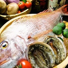 徳島 魚一番 新 あらたのコース写真