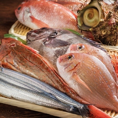 魚まみれ眞吉　恵比寿店の写真3