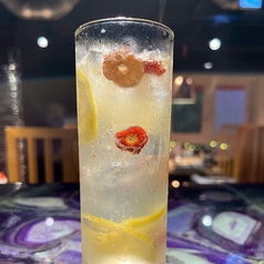 美肌薬膳レモネードサワー