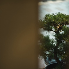 京やきにく れんぞう 祇園店特集写真1
