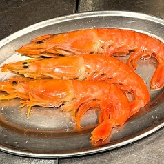 赤海老(3尾)