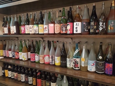 全国各地の梅酒