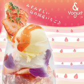 & Yogurt アンドヨーグルト 横浜店
