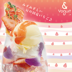 & Yogurt アンドヨーグルト 横浜店の写真