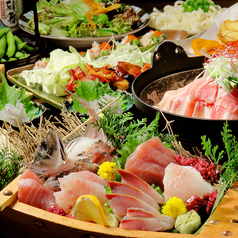 湘南鮮魚と炭焼牛たん かっこ藤沢南口店のコース写真