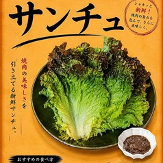 サンチュ