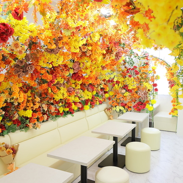 Cafe LUMINOUS カフェ ルミナスの雰囲気1