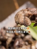 薩摩ぢどり 湯田温泉のおすすめポイント1