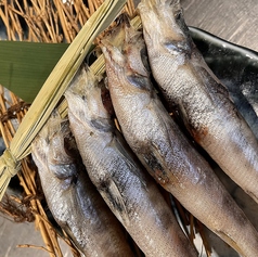 ◆宮城県産 目光の藁串目指し(4尾)