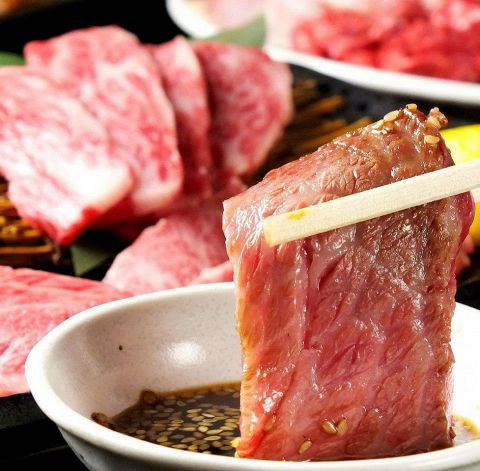 ごちゃまい堂 天満本店 天満 焼肉 ホルモン ネット予約可 ホットペッパーグルメ